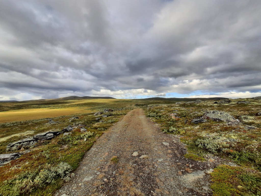 Ein endlosscheinender Wegabschnitt über die unbesiedelten Regionen Norwegens. 